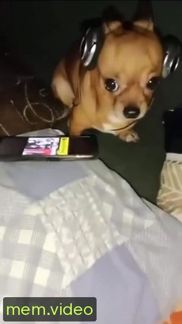 Кадр на 0:01