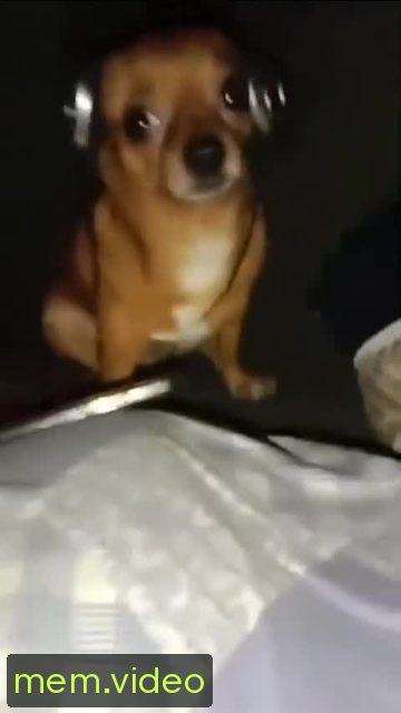 Кадр на 0:03