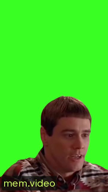 Кадр на 0:00