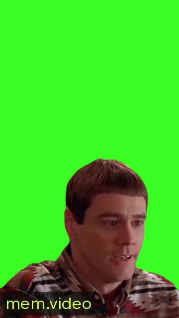 Кадр на 0:00