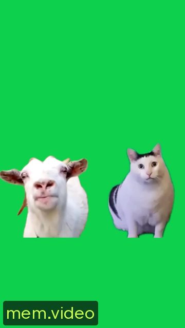 Кадр на 0:02