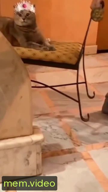Кадр на 0:01