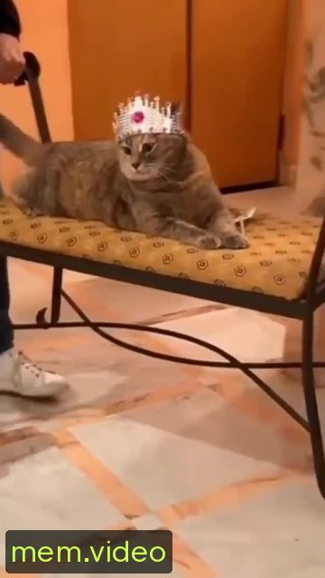 Кадр на 0:04