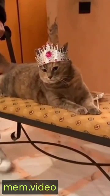 Кадр на 0:05