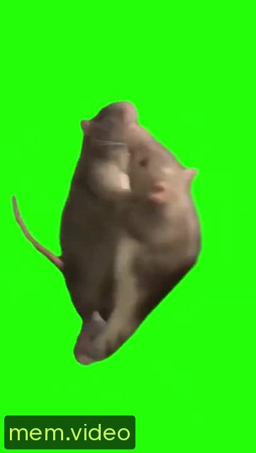 Кадр на 0:03