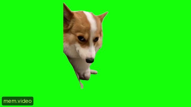 Кадр на 0:00