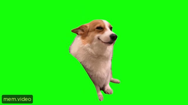Кадр на 0:04