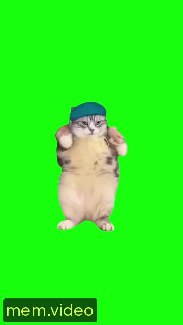 Кадр на 0:00
