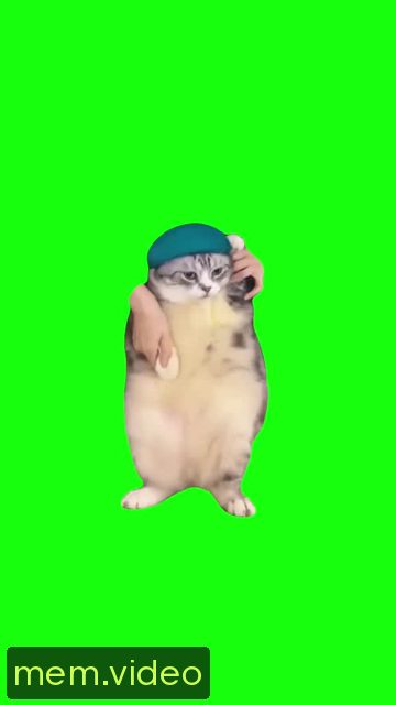 Кадр на 0:01