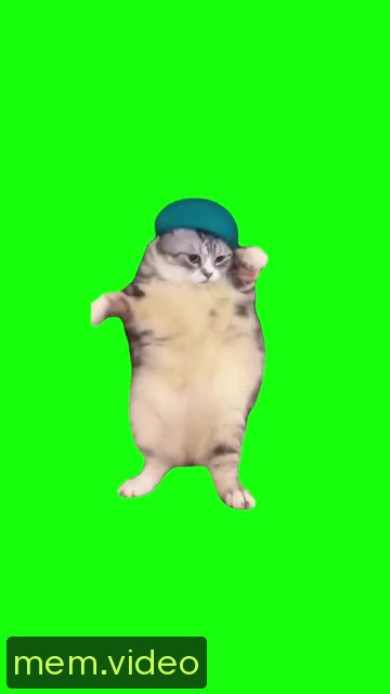 Кадр на 0:02