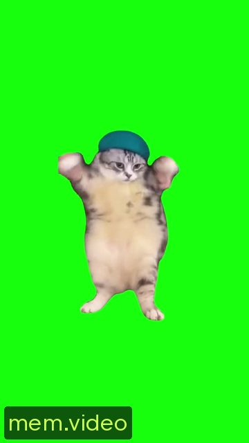 Кадр на 0:03