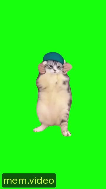 Кадр на 0:04