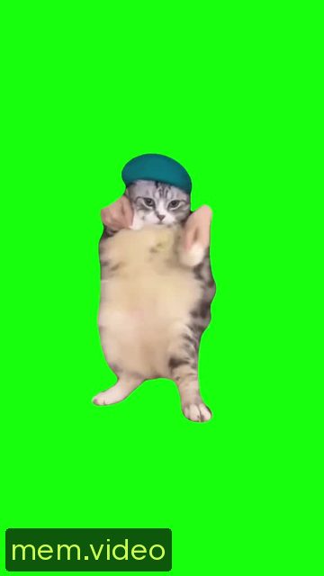 Кадр на 0:05