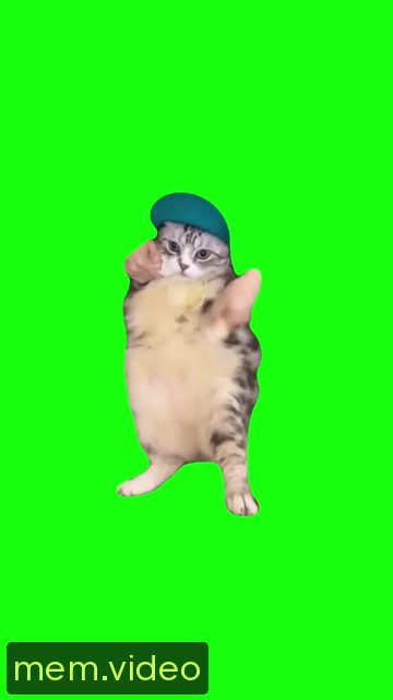Кадр на 0:06