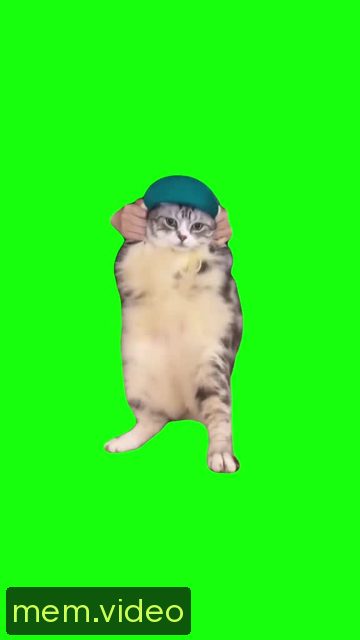 Кадр на 0:07