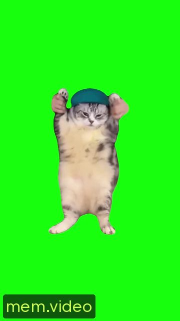 Кадр на 0:09