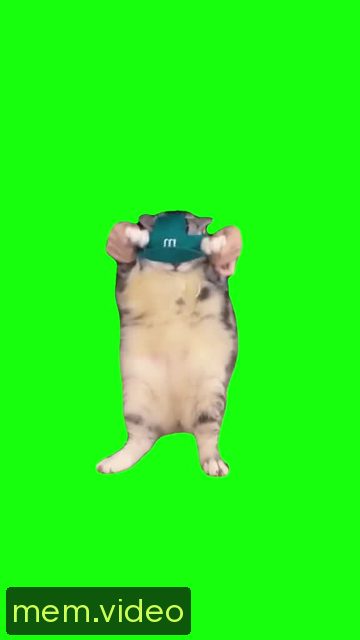 Кадр на 0:10