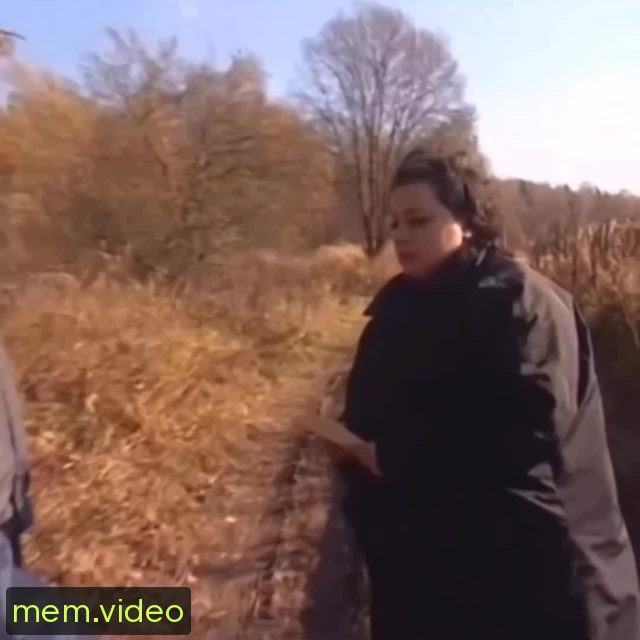 Кадр на 0:00