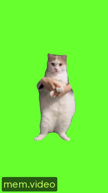 Кадр на 0:07