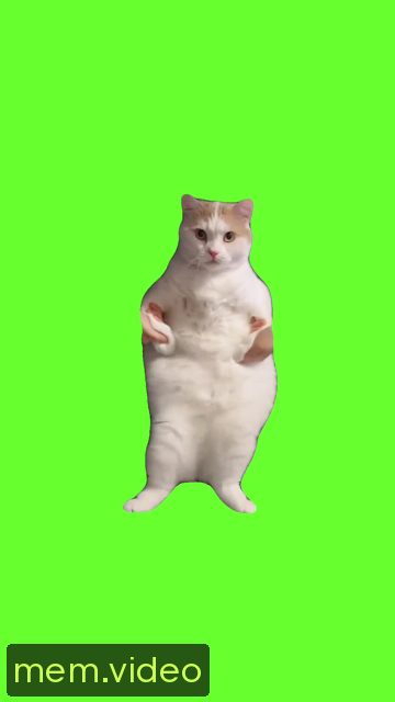 Кадр на 0:08