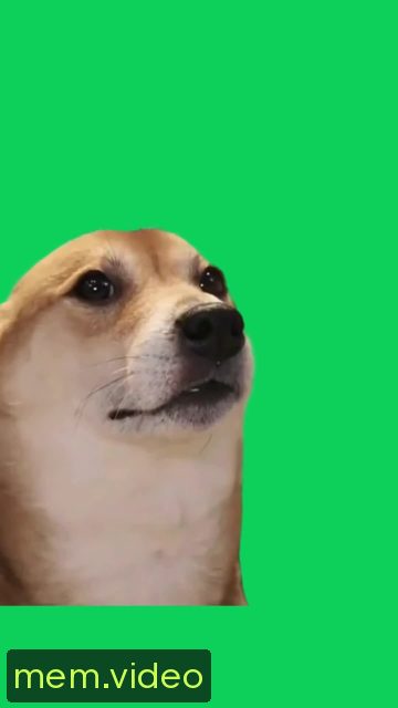 Кадр на 0:00