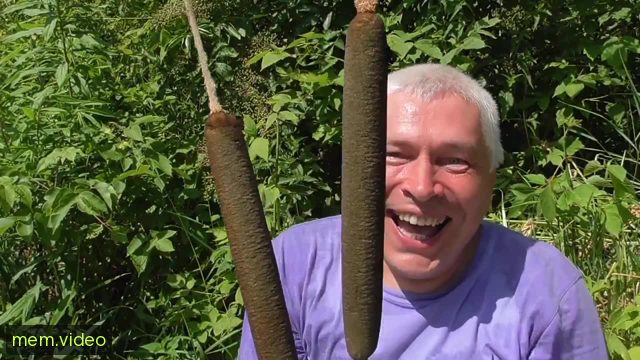 Кадр на 0:01