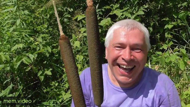 Кадр на 0:01
