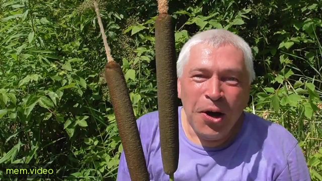 Кадр на 0:02