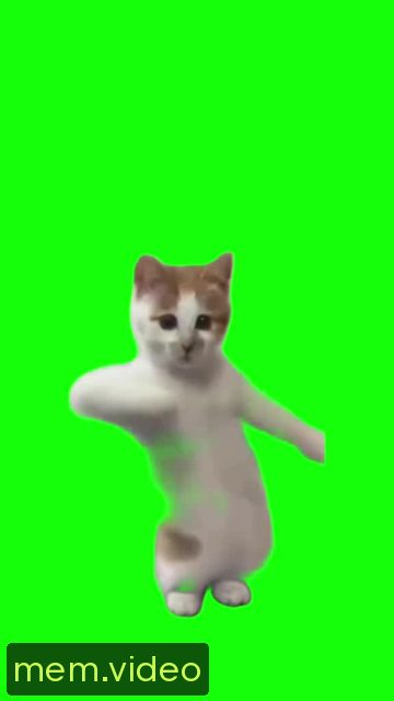 Кадр на 0:00