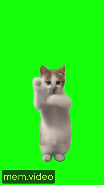 Кадр на 0:02