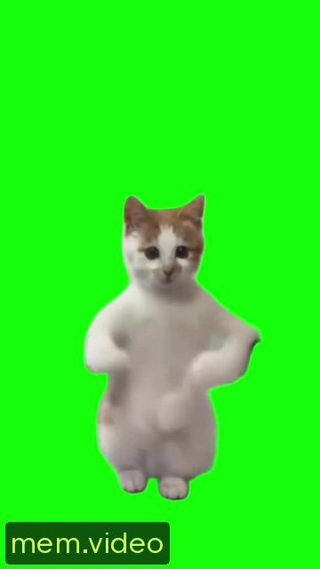 Кадр на 0:06