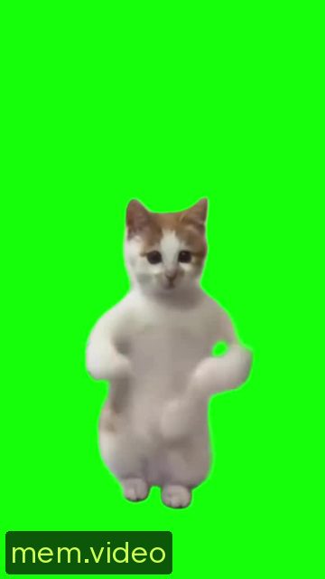 Кадр на 0:07