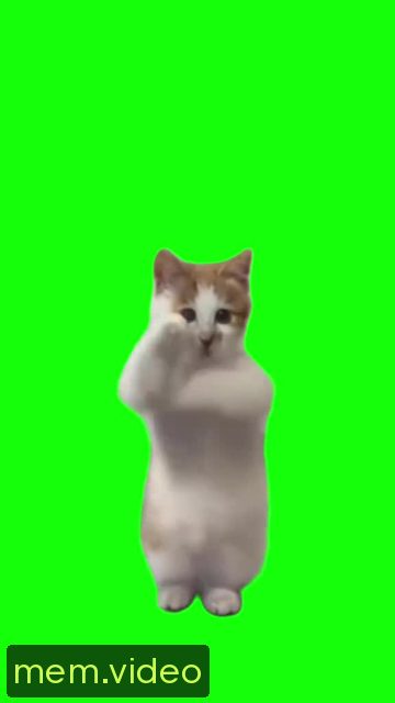 Кадр на 0:11