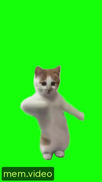 Кадр на 0:14