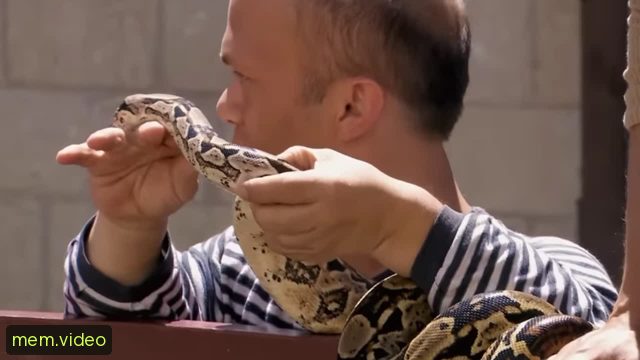 Кадр на 0:05
