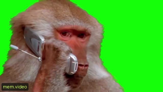 Кадр на 0:00