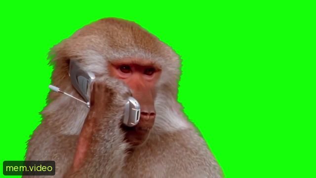 Кадр на 0:04