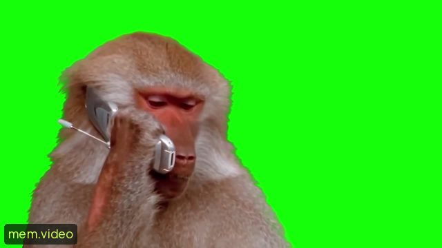 Кадр на 0:06