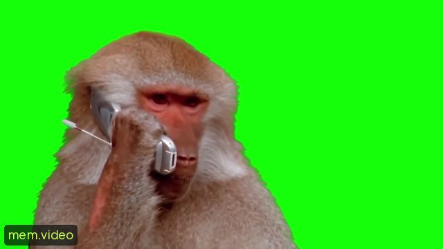 Кадр на 0:08