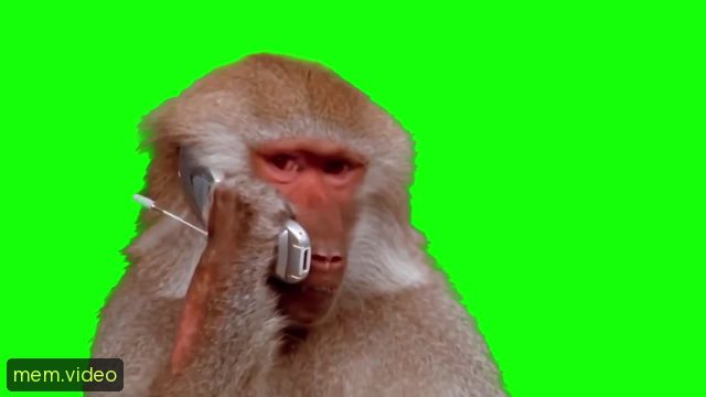 Кадр на 0:11