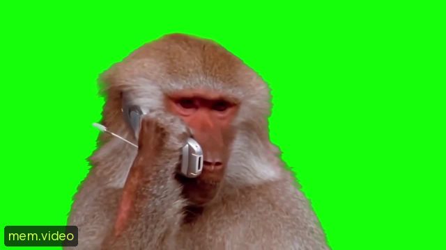 Кадр на 0:13