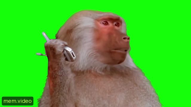 Кадр на 0:22