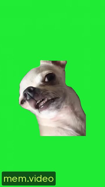Кадр на 0:03
