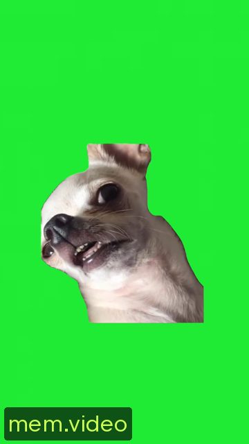 Кадр на 0:06