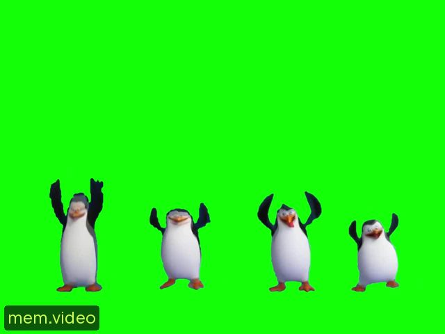 Кадр на 0:13