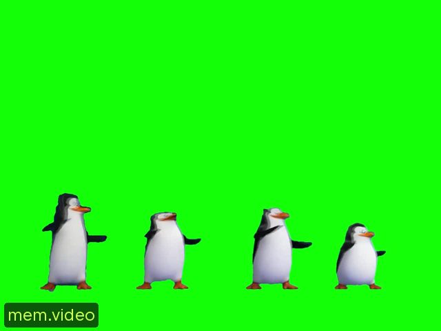 Кадр на 0:16