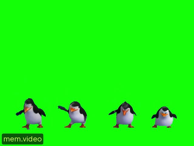 Кадр на 0:20