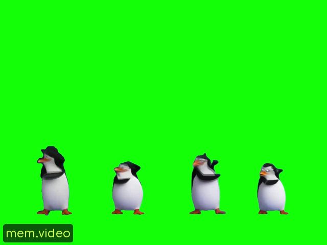 Кадр на 0:23