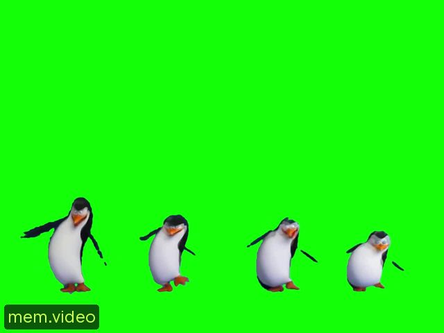 Кадр на 0:29