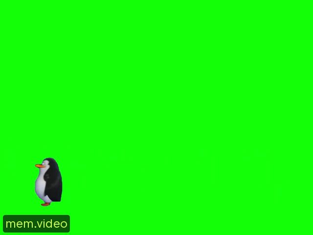 Кадр на 0:36